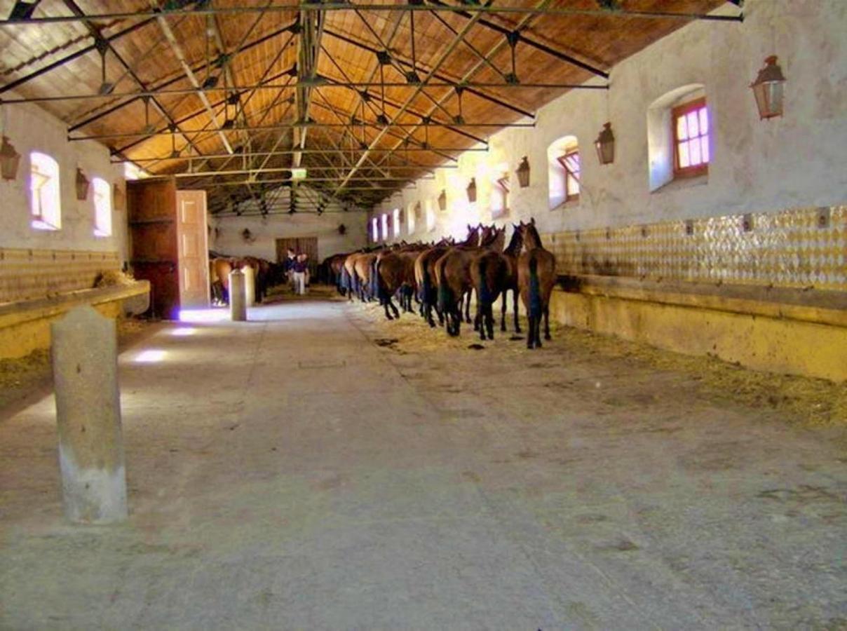 6 Persoons Vakantiewoning Portugal - Casa Do Balao - En - Casa Pequeno Pintor Figueira e Barros Ngoại thất bức ảnh