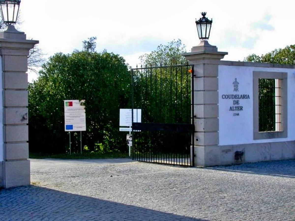 6 Persoons Vakantiewoning Portugal - Casa Do Balao - En - Casa Pequeno Pintor Figueira e Barros Ngoại thất bức ảnh