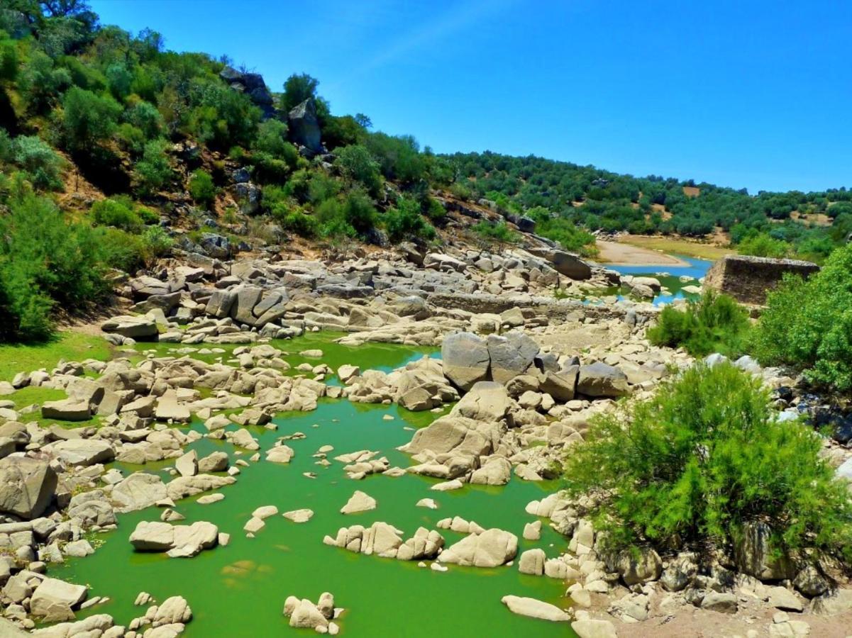 6 Persoons Vakantiewoning Portugal - Casa Do Balao - En - Casa Pequeno Pintor Figueira e Barros Ngoại thất bức ảnh